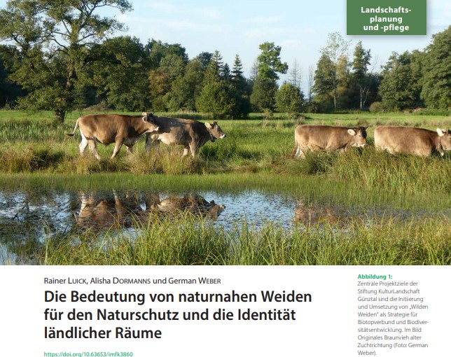 newsimg