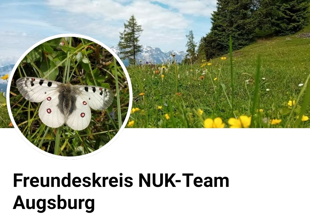 newsimg